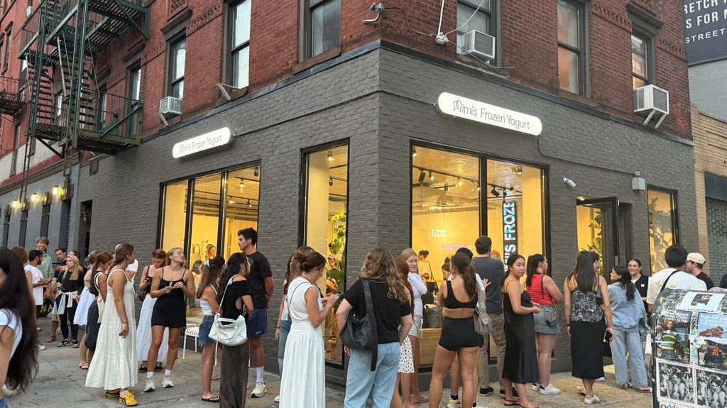 #11 - Mimi's Frozen Yogurt in Soho (Lafayette and Spring)