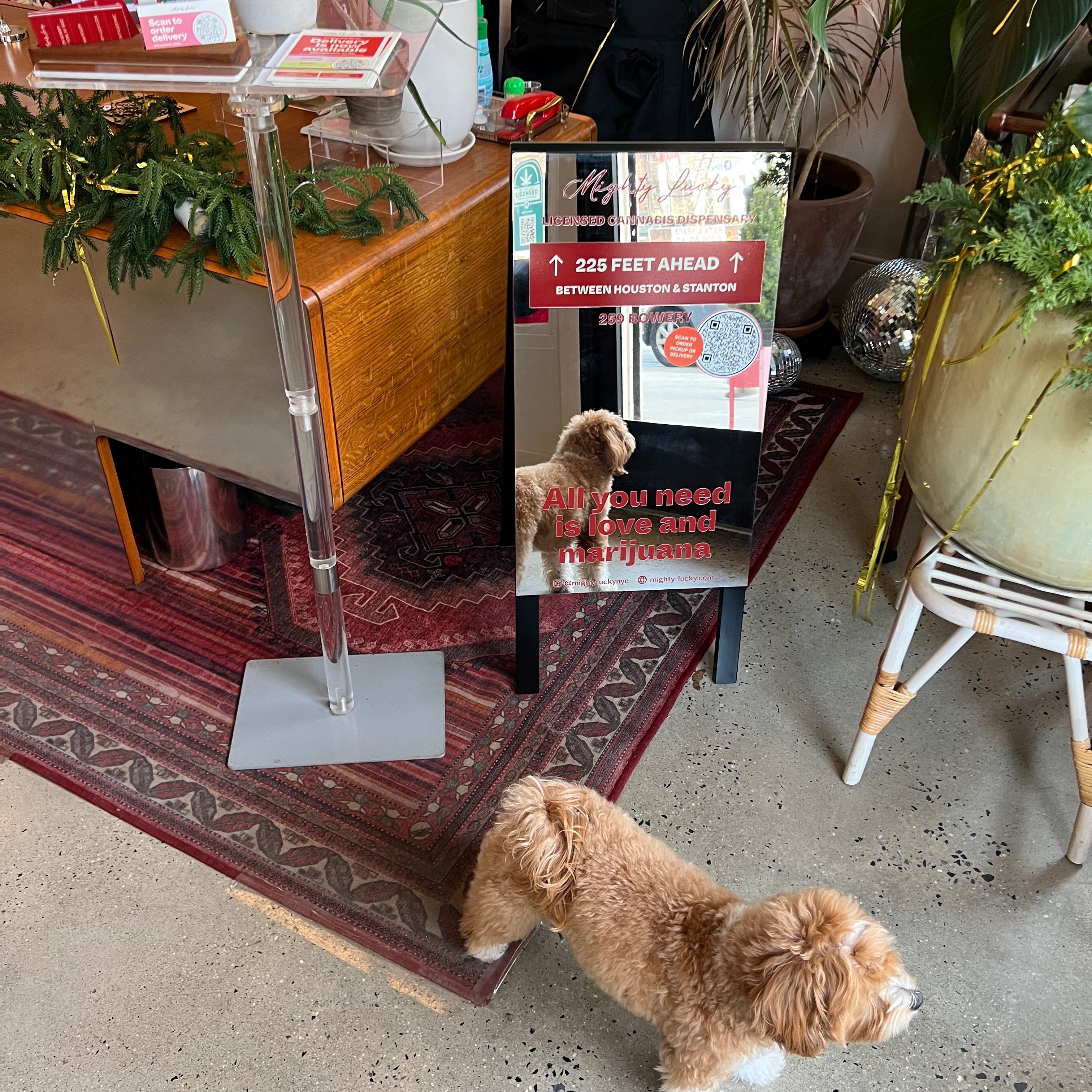 Mirror A Frame Sidewalk Sign